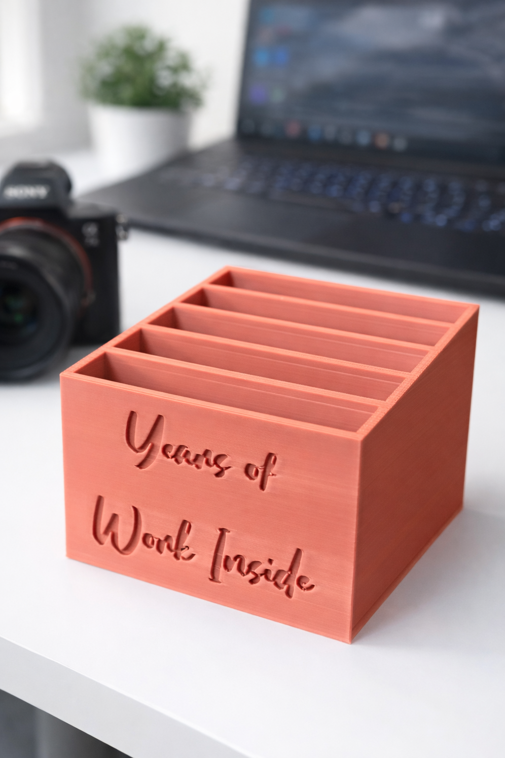 Customized SSD & Hard Drive Organizer