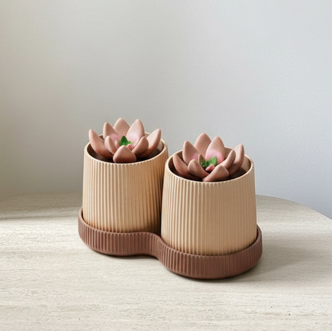 MyTinkly – Dual Planter with Tray | Cute & Modern Two-in-One Plant Pot | Succulent & Herb Desk Planter